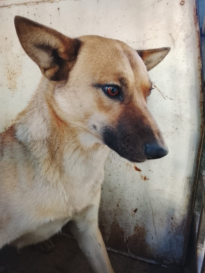 Иркутск 576/25