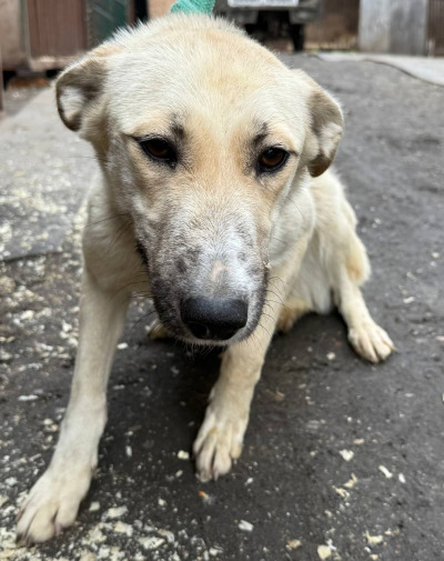 Иркутск 577/25