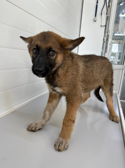 Иркутск 579/25