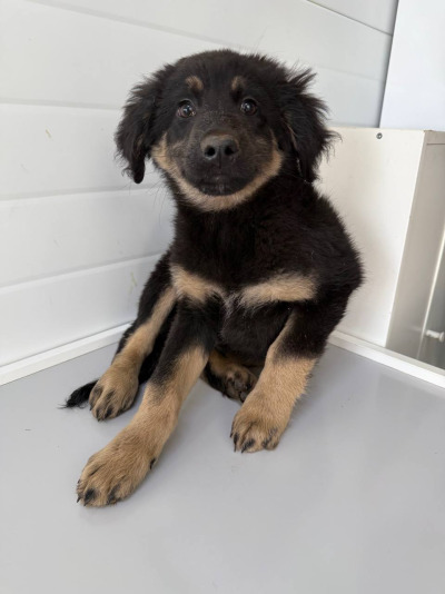 Иркутск 580/25