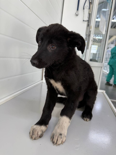 Иркутск 581/25