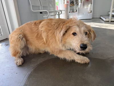 Иркутск 582/25