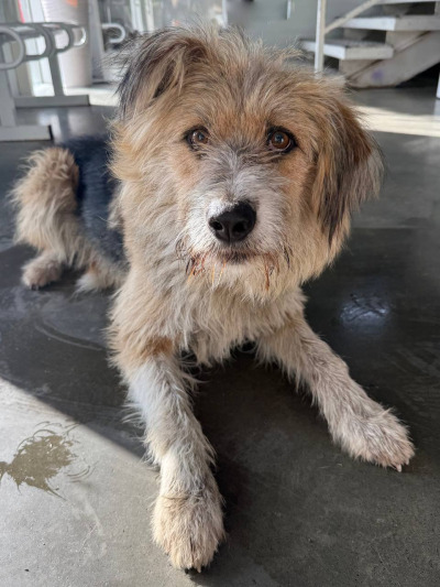 Иркутск 583/25