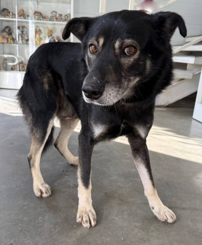 Иркутск 584/25