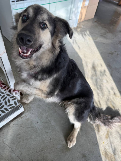 Иркутск 585/25