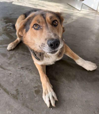 Иркутск 587/25