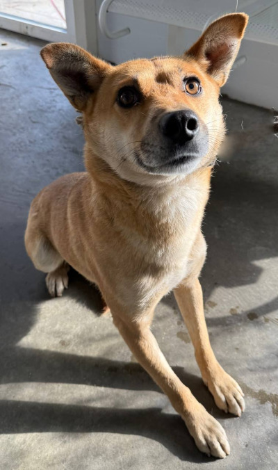 Иркутск 588/25