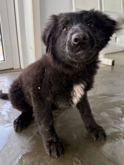 Иркутск 589/25