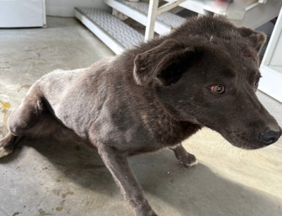 Иркутск 590/25