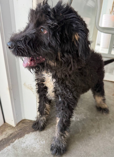 Иркутск 591/25