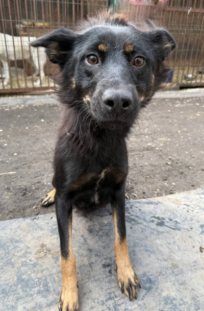 Иркутск 592/25