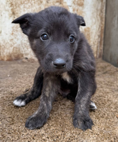 Иркутск 593/25