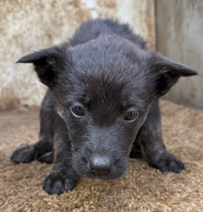 Иркутск 594/25