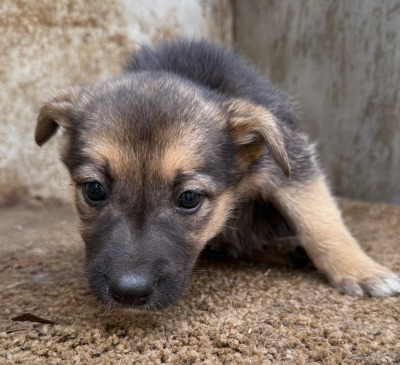 Иркутск 595/25