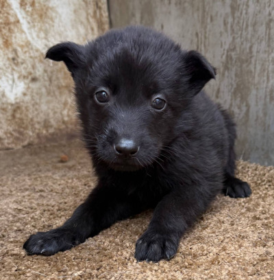 Иркутск 596/25