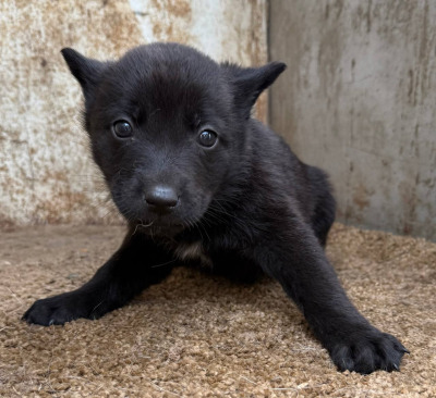 Иркутск 597/25