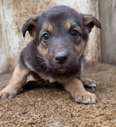 Иркутск 598/25