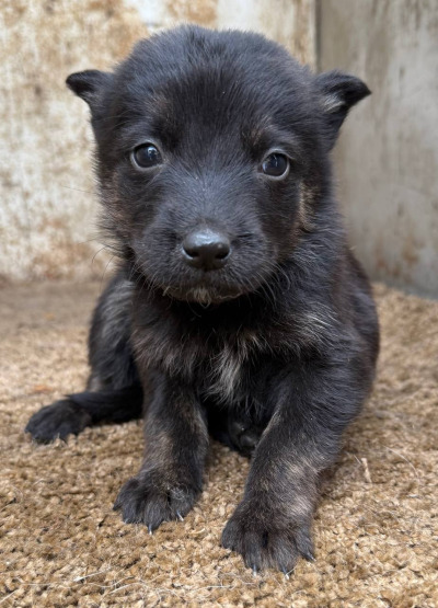 Иркутск 599/25