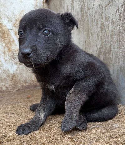 Иркутск 600/25