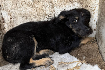 Иркутск 601/25