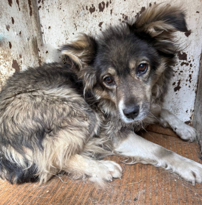 Иркутск 602/25