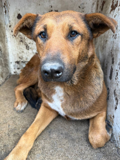 Иркутск 603/25