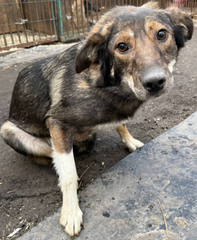 Иркутск 604/25