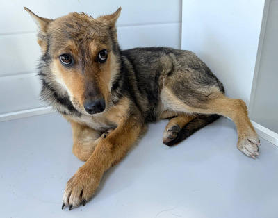 Иркутск 635/25 