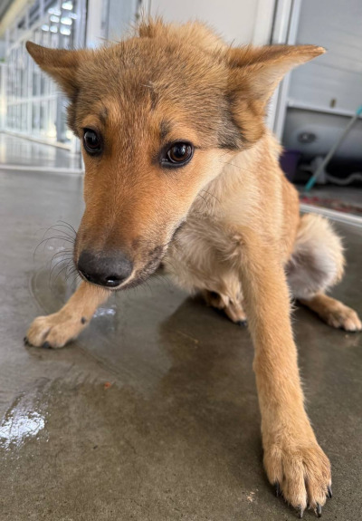 Иркутск 636/25