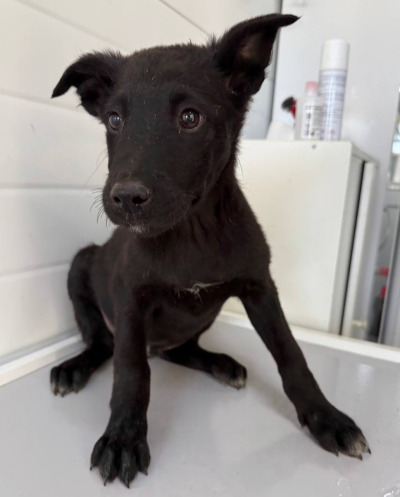 Иркутск 637/25