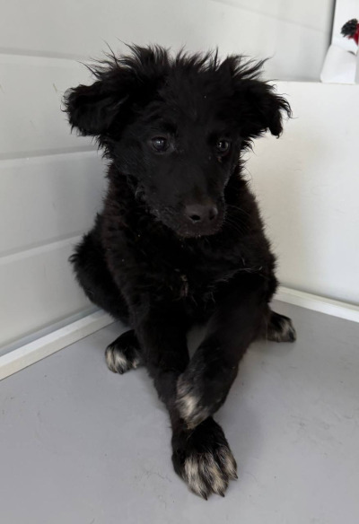 Иркутск 638/25