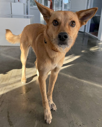 Иркутск 639/25