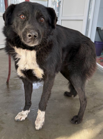 Иркутск 640/25