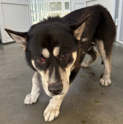 Иркутск 641/25