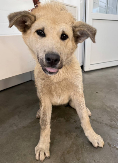 Иркутск 642/25