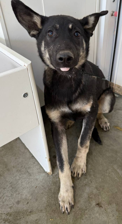 Иркутск 643/25