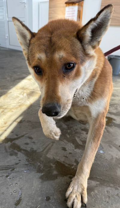 Иркутск 644/25