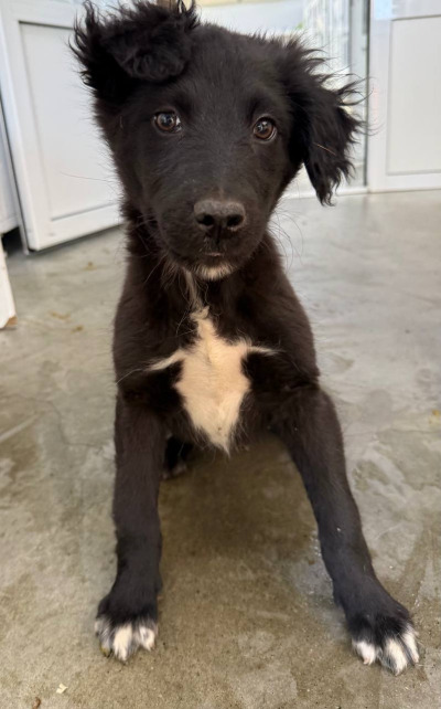 Иркутск 645/25