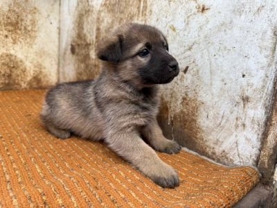 Иркутск 677/25