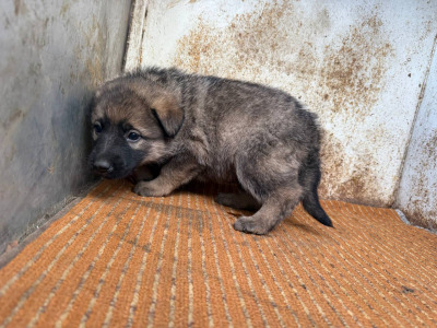 Иркутск 678/25