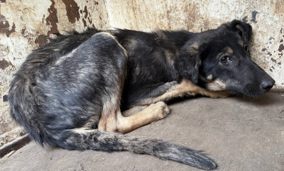 Иркутск 679/25