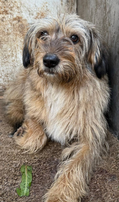 Иркутск 680/25