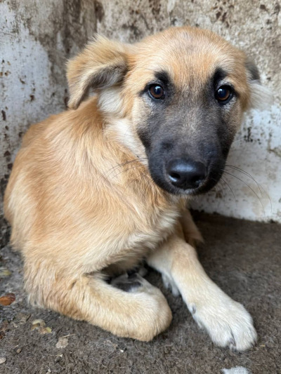 Иркутск 681/25