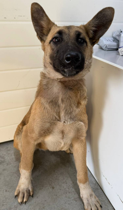 Иркутск 682/25