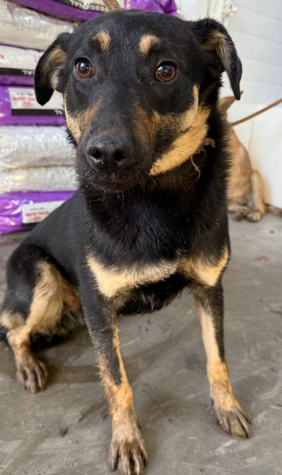 Иркутск 683/25