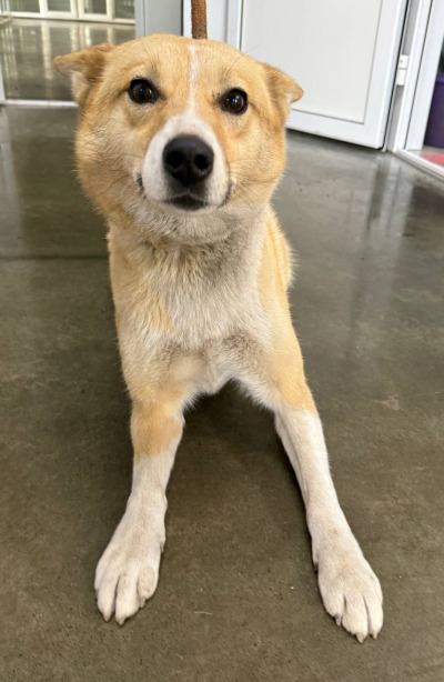 Иркутск 684/25