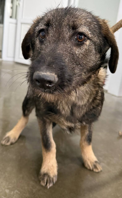 Иркутск 685/25