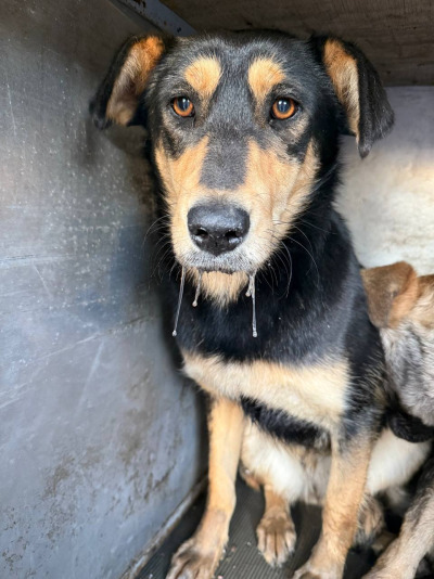 Иркутск 686/25