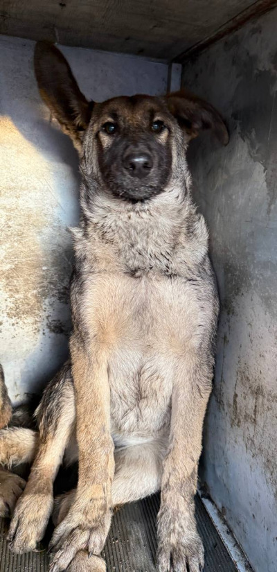 Иркутск 687/25