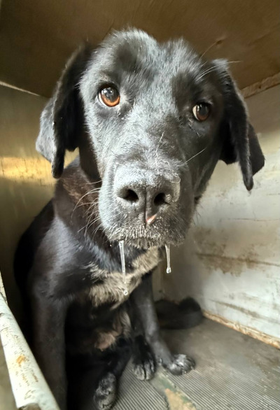 Иркутск 688/25